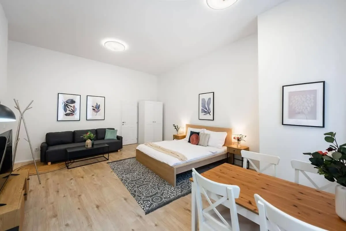 Апартаменты Elegant Spacious Old Town Studio Прага